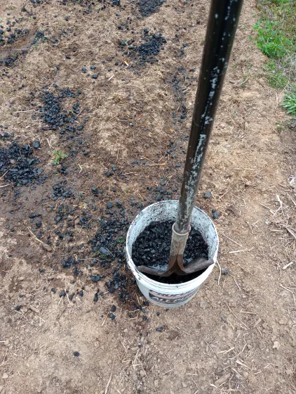 Nomadic improvements, bio char, garden, inoculation, fish emulsion,