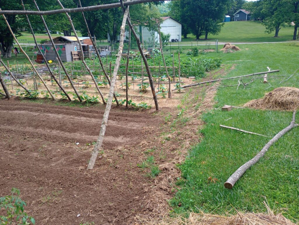 nomadic improvements, garden, diy projects, sheds, trellis,